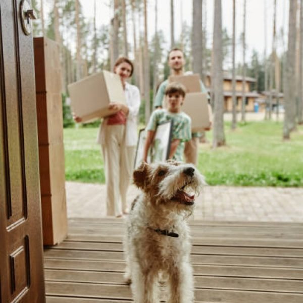 Vertical portrait of cute little dog walking into new home with family